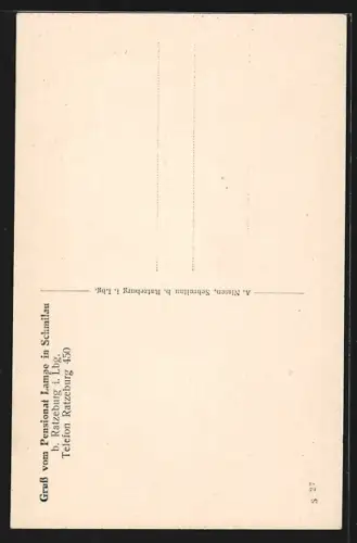 AK Schmilau b. Ratzeburg, Pensionat Lampe, See, Waldeingang