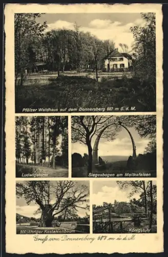 AK Dannenfels / Donnersberg, Pfälzer Waldhaus, Ludwigsturm, Siegesbogen am Moltkefelsen, Königstuhl, Kastanienbaum