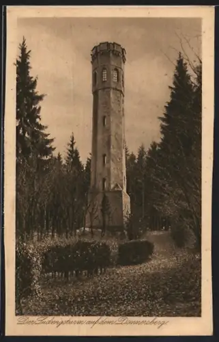 AK Dannenfels, Der Ludwigsturm auf dem Donnersberg