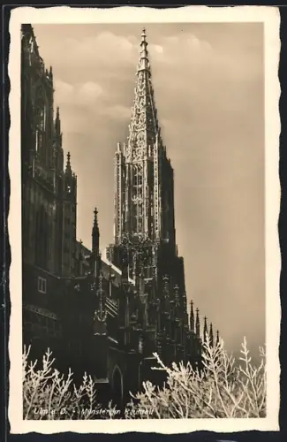 AK Ulm a. D., Münster im Rauhreif