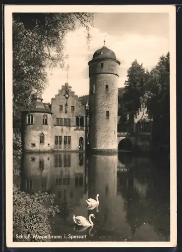 AK Mespelbrunn i. Spessart, Schloss Mespelbrunn, Wassergraben, Schwäne
