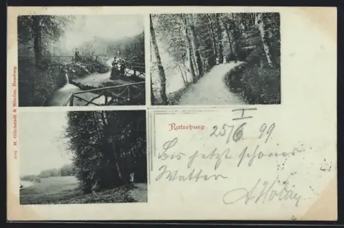 AK Ratzeburg, Brücke, Waldweg, Landschaftsansicht