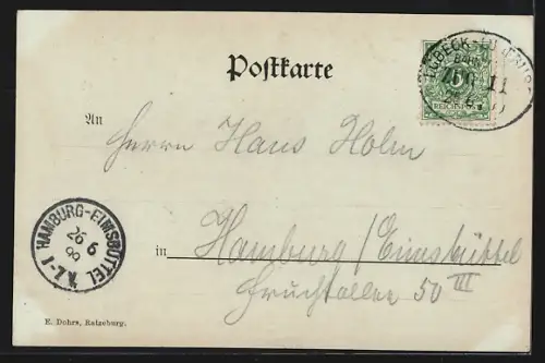 AK Ratzeburg, Brücke, Waldweg, Landschaftsansicht