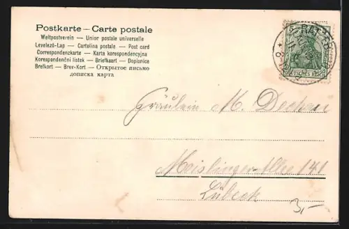 AK Ratzeburg i. L., Stadtinsel mit Dom und Kirche