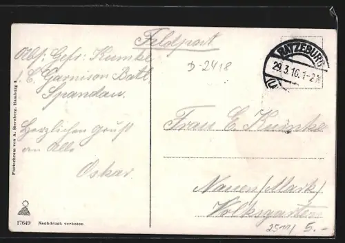 AK Ratzeburg, Panorama vom Wasserturm