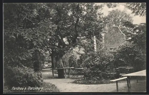 AK Farchau b. Ratzeburg, Gartenlokal unter Bäumen