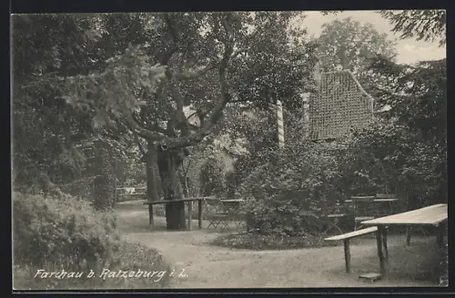 AK Farchau b. Ratzeburg, Gartenlokal im Grünen