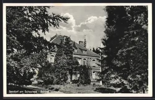 AK Seedorf am Schaalsee, Schloss