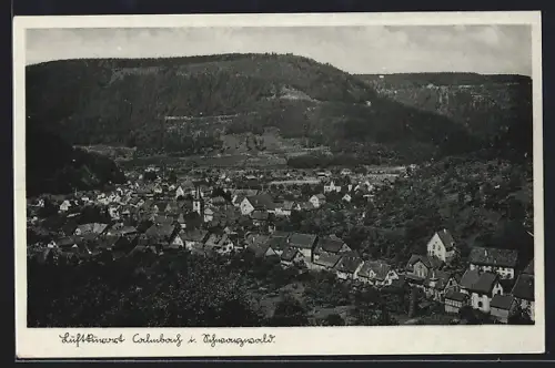 AK Calmbach im Schwarzwald, Ortsansicht