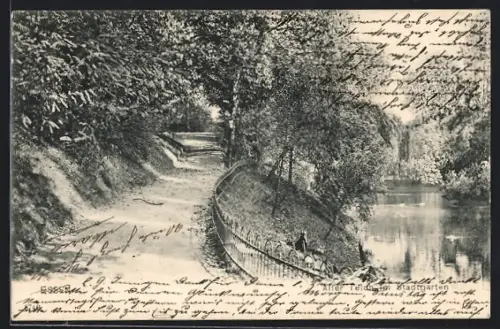 AK Essen, Alter Teich im Stadtgarten