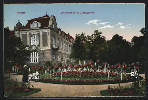 AK Essen, Rosenplatz im Stadtgarten