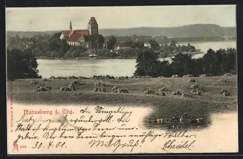 AK Ratzeburg i. Lbg., Blick auf Dom