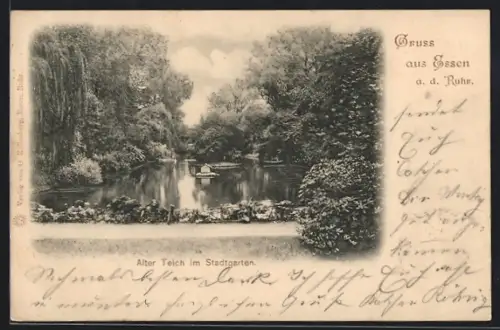 AK Essen a. d. Ruhr, Alter Teich im Stadtgarten