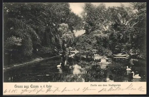 AK Essen a. d. Ruhr, Partie aus dem Stadtgarten