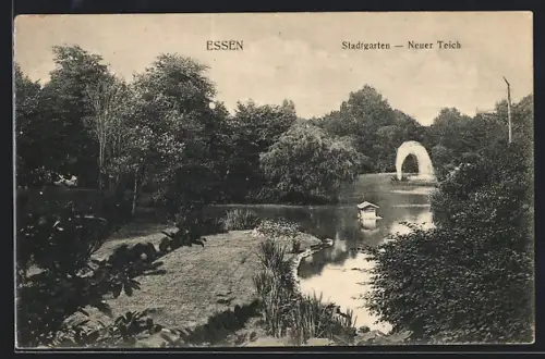 AK Essen, Stadtgarten, Neuer Teich