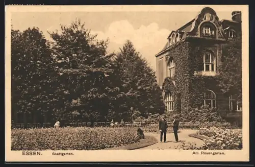 AK Essen, Stadtgarten, Am Rosengarten