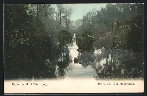 AK Essen a. d. Ruhr, Partie aus dem Stadtgarten