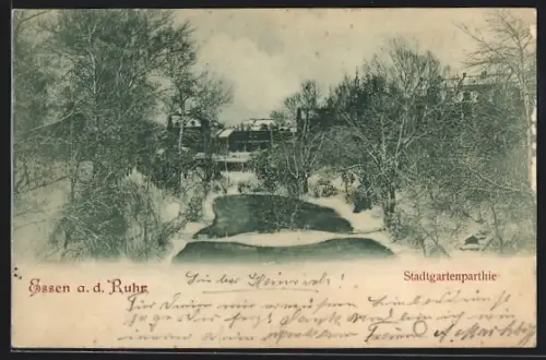 AK Essen a. d. Ruhr, Stadtgartenpartie
