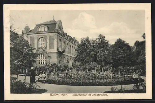 AK Essen /Ruhr, Rosenplatz im Stadtgarten
