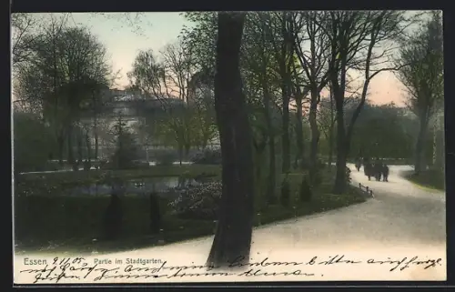 AK Essen, Partie im Stadtgarten