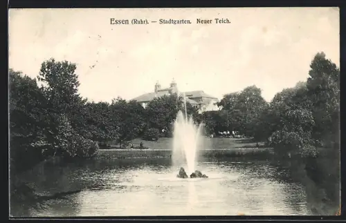AK Essen /Ruhr, Stadtgarten, Neuer Teich