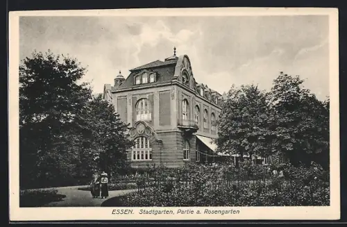 AK Essen, Stadtgarten, Partie am Rosengarten