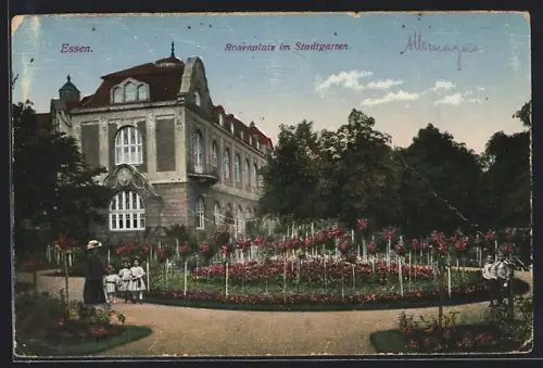 AK Essen, Rosenplatz im Stadtgarten