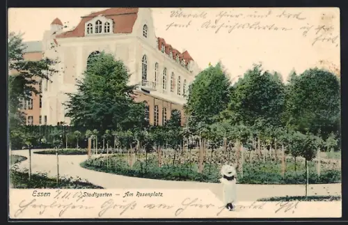 AK Essen, Stadtgarten, Am Rosenplatz