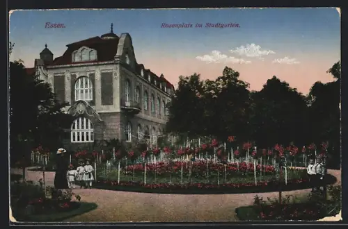 AK Essen, Rosenplatz im Stadtgarten