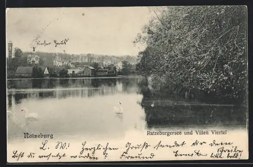AK Ratzeburg, Ratzeburgersee mit Villen Viertel