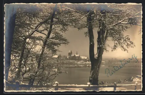 Foto-AK Ratzeburg i. Lbg., Blick auf Dom und See im Winter