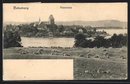 AK Ratzeburg, Panorama