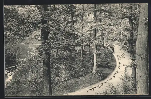 AK Essen / Ruhr, Waldweg am Ufer