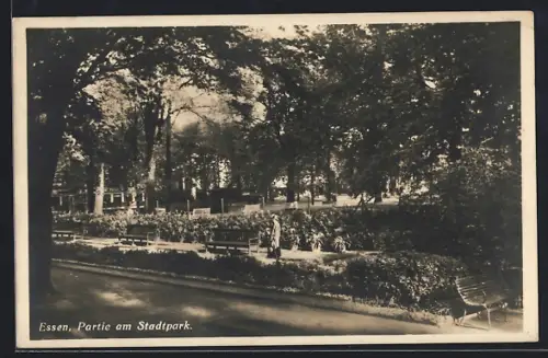 AK Essen / Ruhr, Partie am Stadtpark