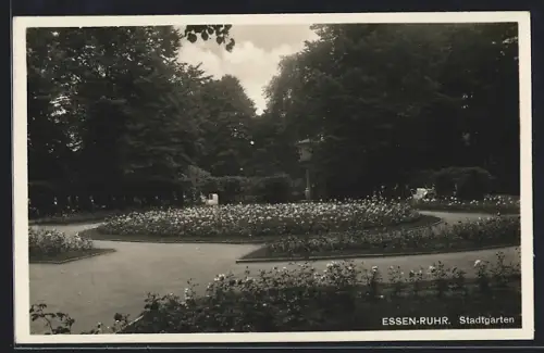 AK Essen-Ruhr, Stadtgarten