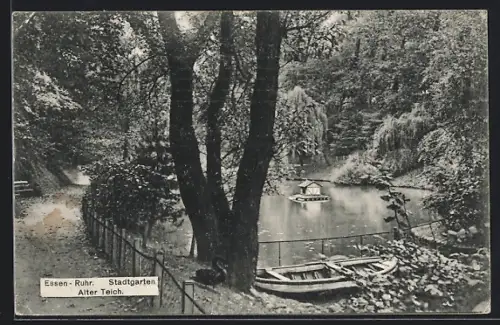 AK Essen-Ruhr, Stadtgarten, Alter Teich