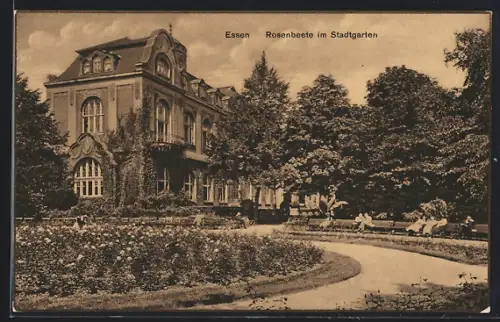 AK Essen, Rosenbeete im Stadtgarten