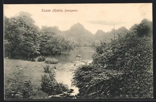 AK Essen /Ruhr, Stadtgarten