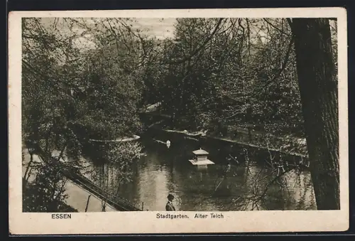 AK Essen, Stadtgarten, Alter Teich