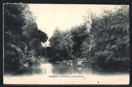 AK Essen a. Ruhr, Stadtgarten