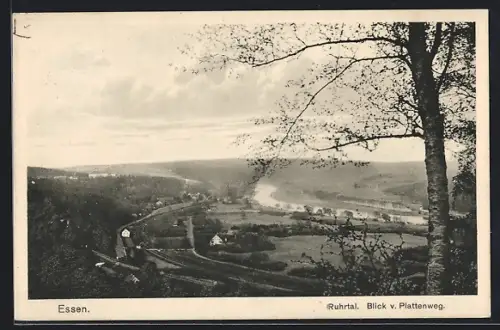 AK Essen, Ruhrtal, Blick vom Plattenweg