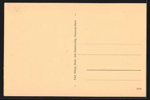 AK Stolberg im Harz, Ritterstrasse mit Rathaus und Hotel zum Kanzler