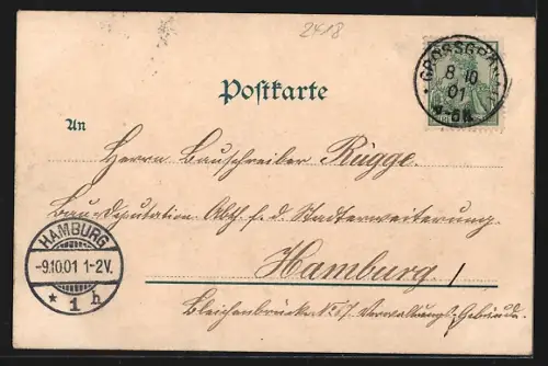 AK Ratzeburg, Stadtansicht mit Dom und See