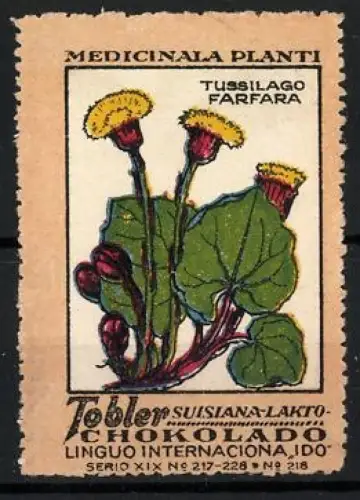 Reklamemarke Tobler Schokolade, Medicinala Planti, Tussilago Farfara