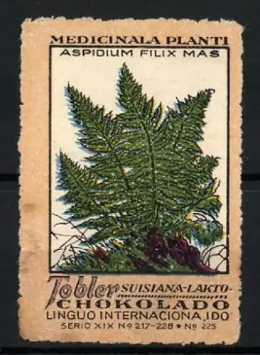 Reklamemarke Tobler Schokolade, Medicinala Planti, Aspidium Filix Mas