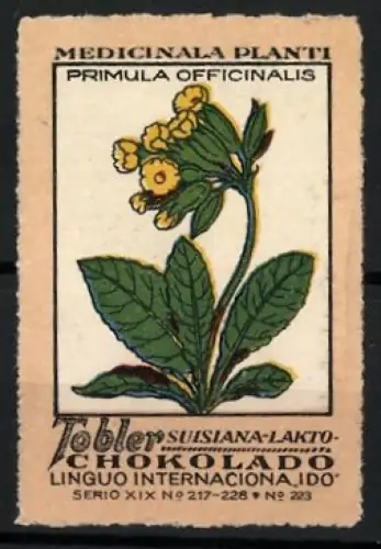 Reklamemarke Tobler Schokolade, Medicinala Planti, Primula Officinalis