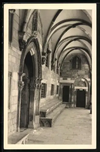 AK Dubrovnik, Dvor