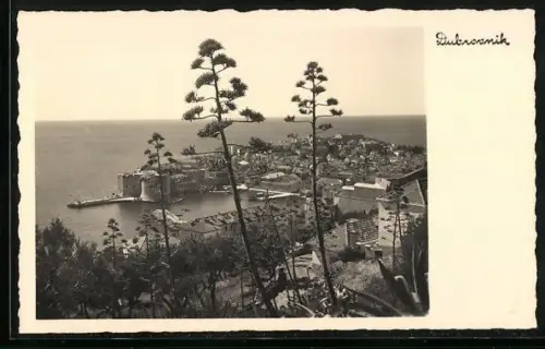 AK Dubrovnik, Panorama mit Burg