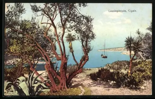 AK Lussinpiccolo-Cigale, Strand mit Blick auf ein Segelboot