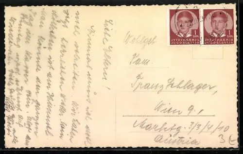 AK Novi-Vinodol, Panorama